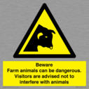 beware-farm-animals-can-be-dangerous-visitors-are-advised-not-to-interfere-with-~